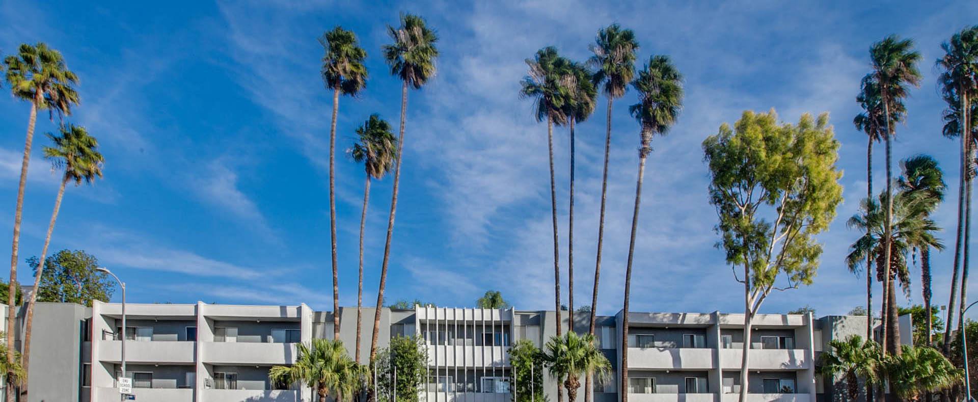 a group of tall palm trees in front of a building at Candlewood North, Northridge, 91324